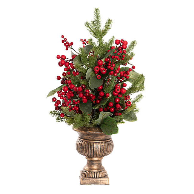 Potted Gumnut Berry Pine Tree Green (76cmH)