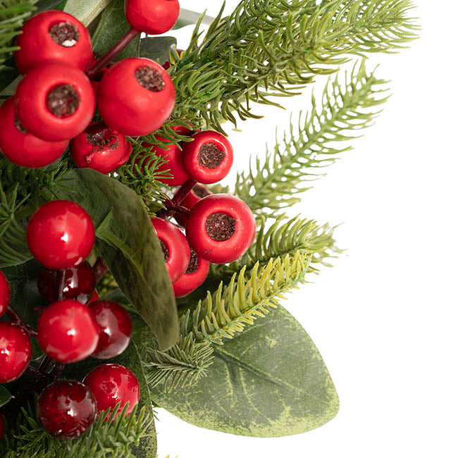 Potted Gumnut Berry Pine Tree Green (76cmH)