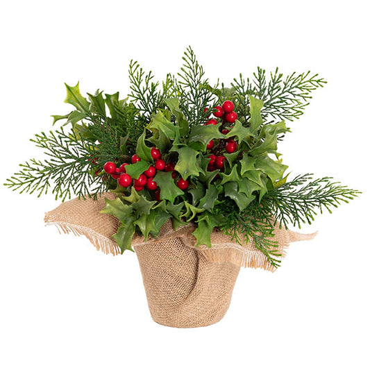 Jute Potted Cypress Pine Holly Tree Green (33cmH)