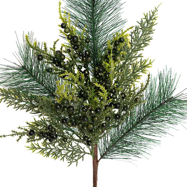 Needlle & Cypress Pine Spray Green (56cmH)