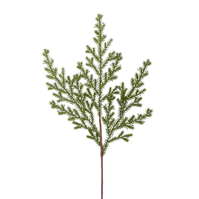 Cedar Pine Spray Green (72cmH)