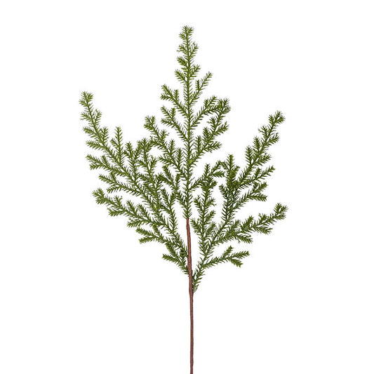 Cedar Pine Spray Green (72cmH)