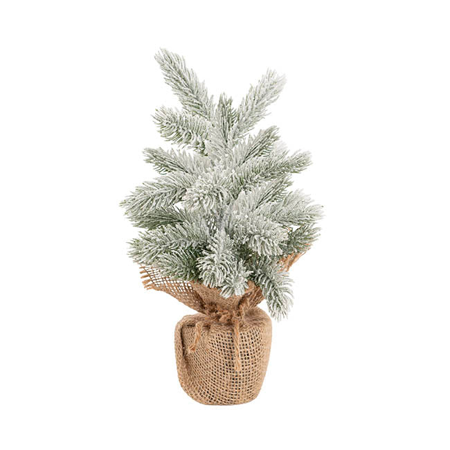 Snow Forest Pine Table Top Tree Potted Jute White (31cmH)