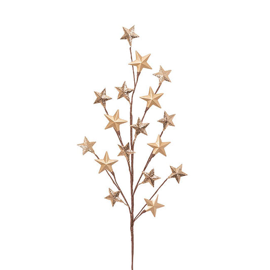 Metal Star Spray Champagne Gold (71cmH)