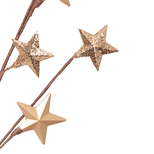 Metal Star Spray Champagne Gold (71cmH)