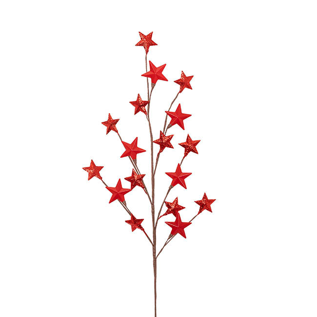 Metal Star Spray Red (71cmH)