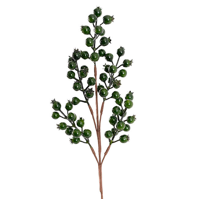 Pomegranate Berry Spray Fern Green (45cmH)
