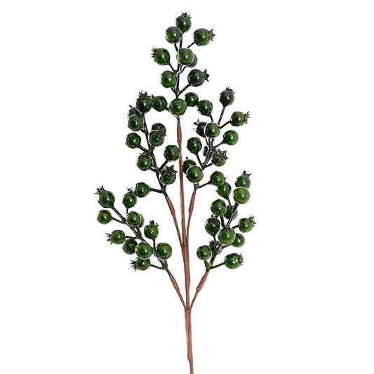 Pomegranate Berry Spray Fern Green (45cmH)