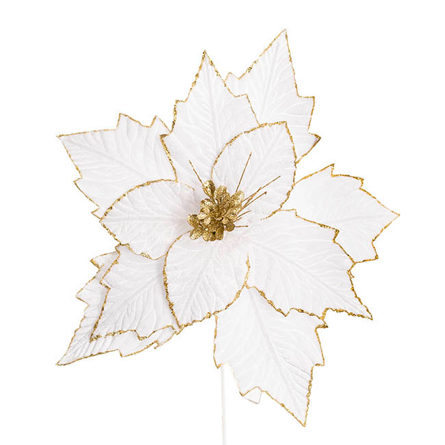 Elegant Poinsettia Stem White (45cmDx30cmH)