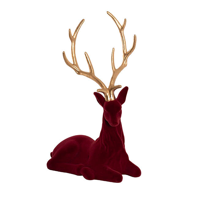 Sitting Reindeer w Gold Antler Flocked Burgundy (41x59cmH)