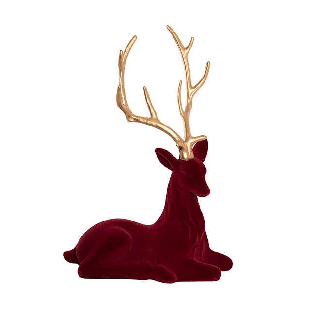 Sitting Reindeer w Gold Antler Flocked Burgundy (41x59cmH)