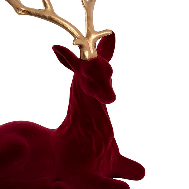 Sitting Reindeer w Gold Antler Flocked Burgundy (41x59cmH)