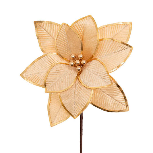 Large Elegant Poinsettia Pick Champagne (34cmDx25cmH)