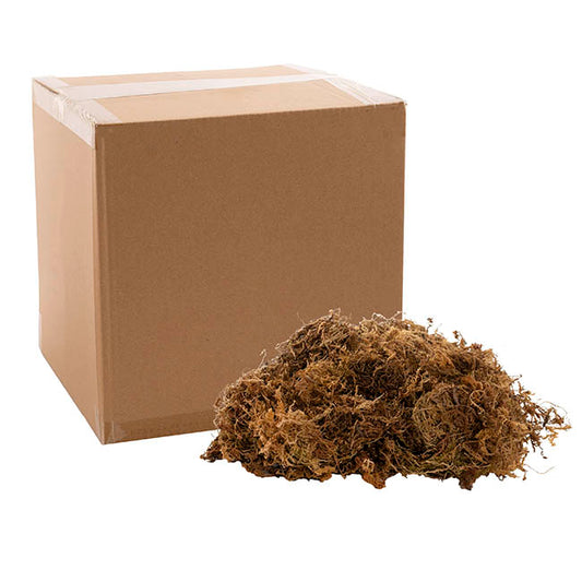 Artificial Moss Grass Olive (1kg)