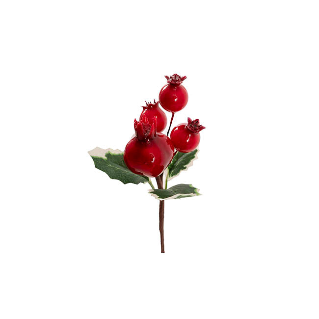 Mini Pomegrante Berry Pick Pack 6 Red (12cmH)