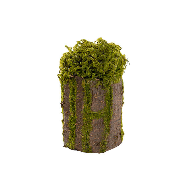 Artificial Moss Arrangement Pot Green (28cmH)