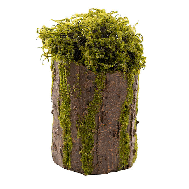 Artificial Moss Arrangement Pot Green (28cmH)