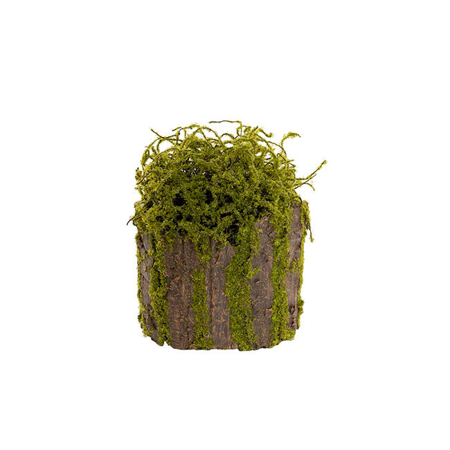 Artificial Moss Arrangement Pot Green (19cmH)