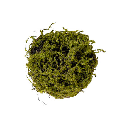 Artificial Moss Arrangement Pot Green (19cmH)