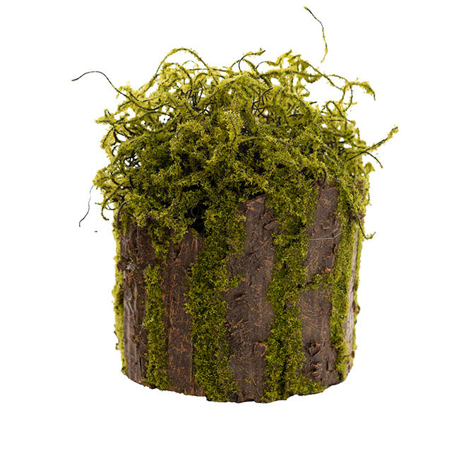 Artificial Moss Arrangement Pot Green (19cmH)