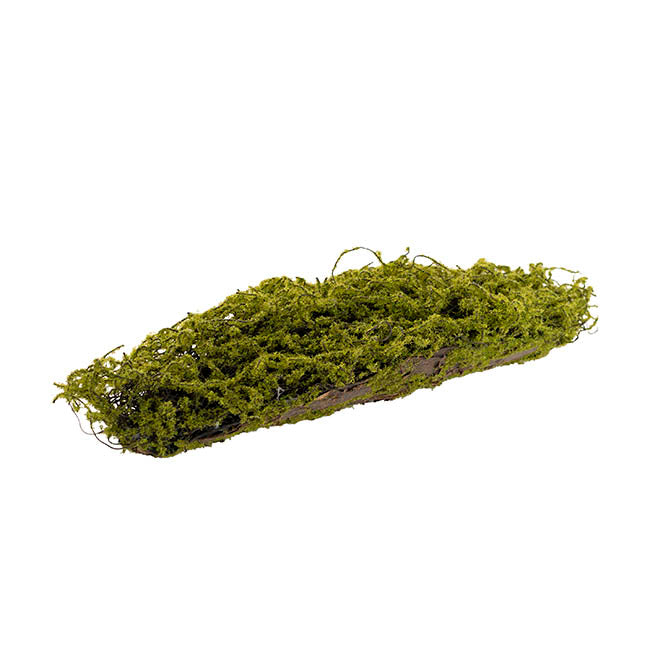 Artificial Moss Arrangement Display Piece Green (14cmx40cmL)