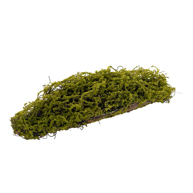 Artificial Moss Arrangement Display Piece Green (18cmx49cmL)