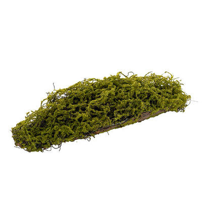 Artificial Moss Arrangement Display Piece Green (18cmx49cmL)