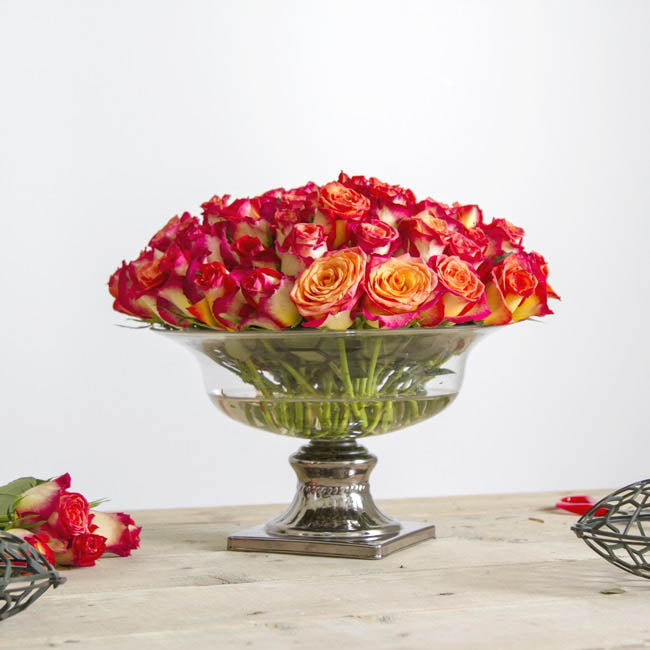 Holly Chapple Pillow Guard 4" (10Dx5cmH) Dark Green