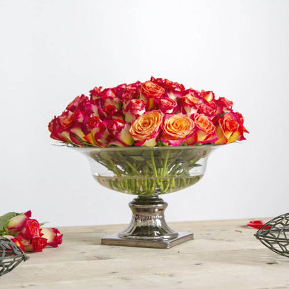 Holly Chapple Pillow Guard 4" (10Dx5cmH) Dark Green