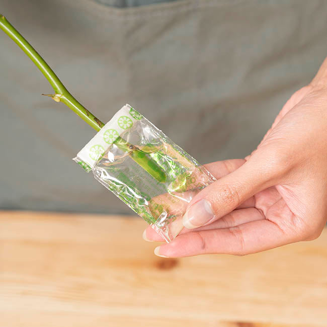 FLOSPAC 5g Sachets Carton 500