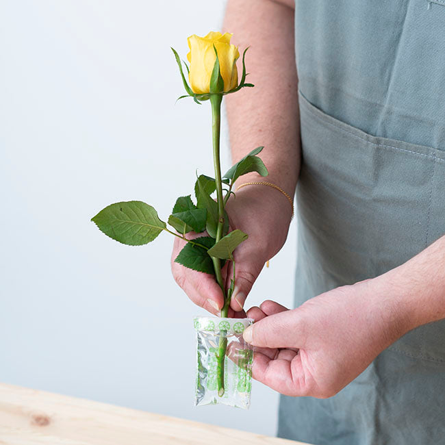 FLOSPAC 5g Sachets Carton 500