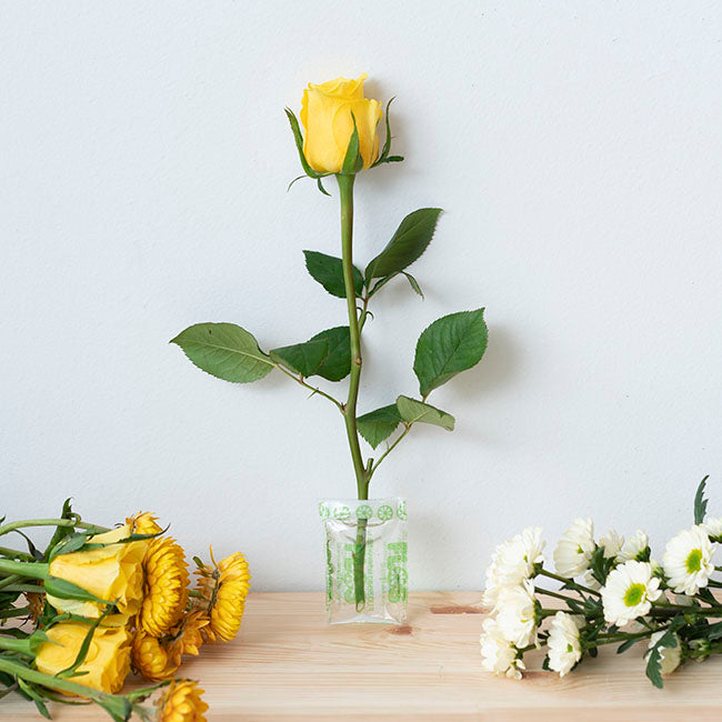 FLOSPAC 5g Sachets Carton 500