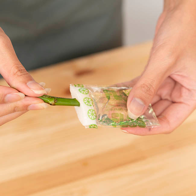 FLOSPAC 5g Sachets Carton 500