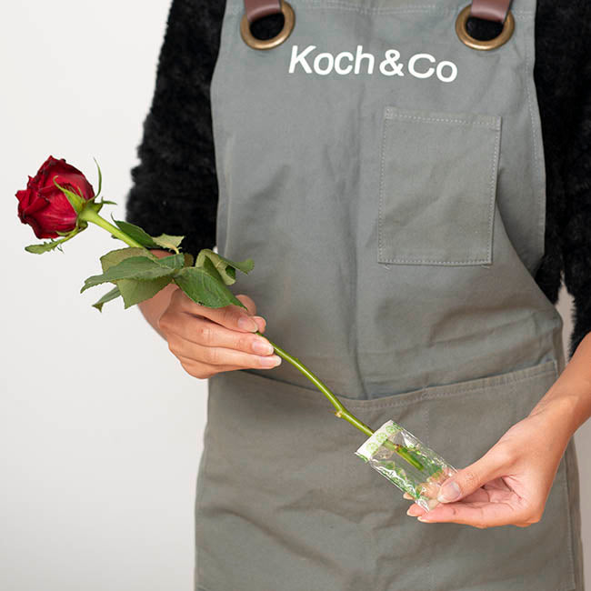 FLOSPAC 5g Sachets Carton 500