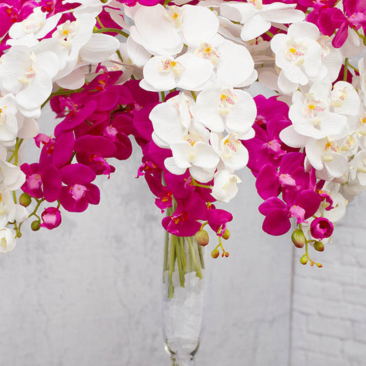 Glass Beach Rocks Frosted Clear (550grm Jar)