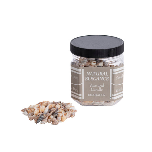 Shells Conches Assorted Natural (250gm Jar)