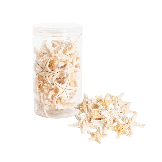 Starfish Decoration Small Natural (32pcs Per Jar)