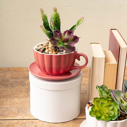 Pebbles Natural 5-15mm Assorted (900g Jar)