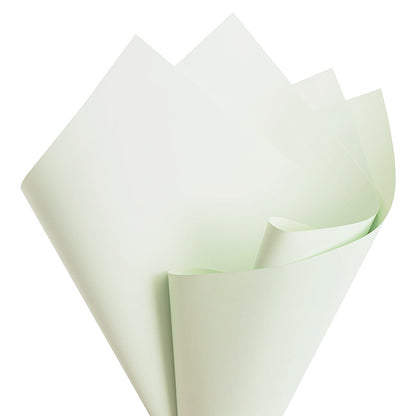 Cello Regal Pro 65mic Pastel Sage (50x70cm) Pack 100