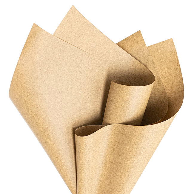 Cello Regal Pro 65mic True Kraft Brown (50x70cm) Pack 100