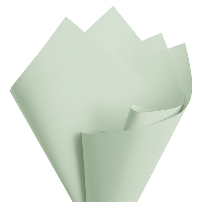 Cello Regal Pro 65mic Deep Sage (50x70cm) Pack 100
