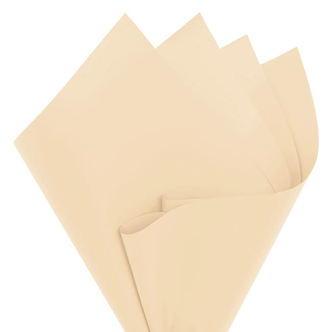 Cello Regal Pro 65mic Metallic Champagne (50x70cm) Pack 100
