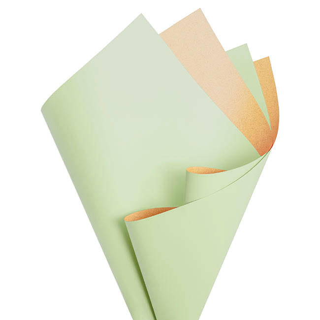 Cello Regal Pro Duet 65mic Sage Green (50x70cm) Pack 100