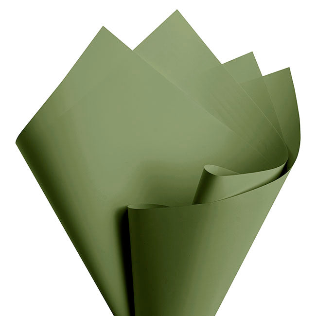 Cello Regal Pro 65mic Moss (50x70cm) Pack 100