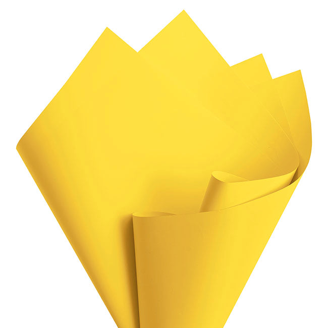 Cello Regal Pro 65mic Yellow (50x70cm) Pack 100