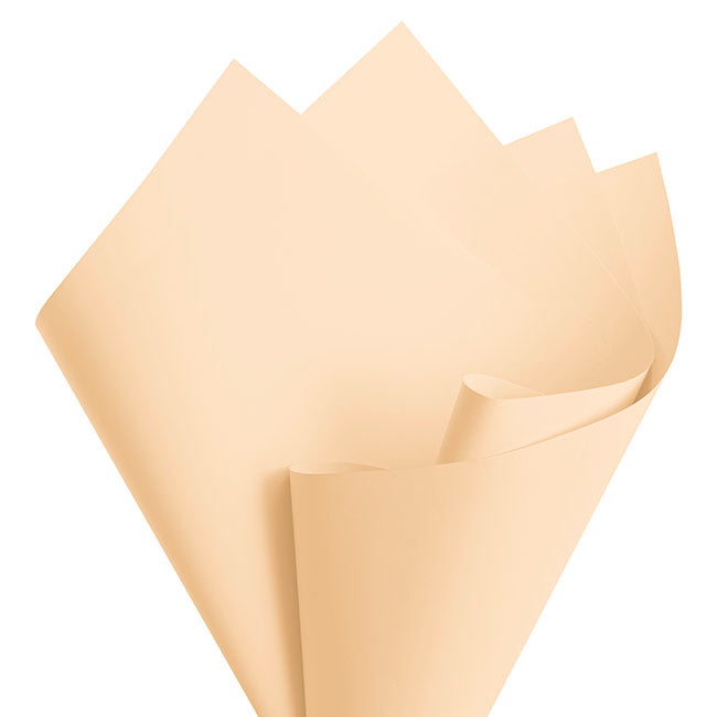 Cello Regal Pro 65mic Natural (50x70cm) Pack 100