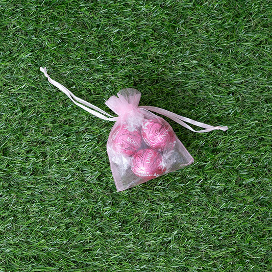 Organza Gift Bomboniere Bag Small Pink Pack 10 (7.5x10cmH)