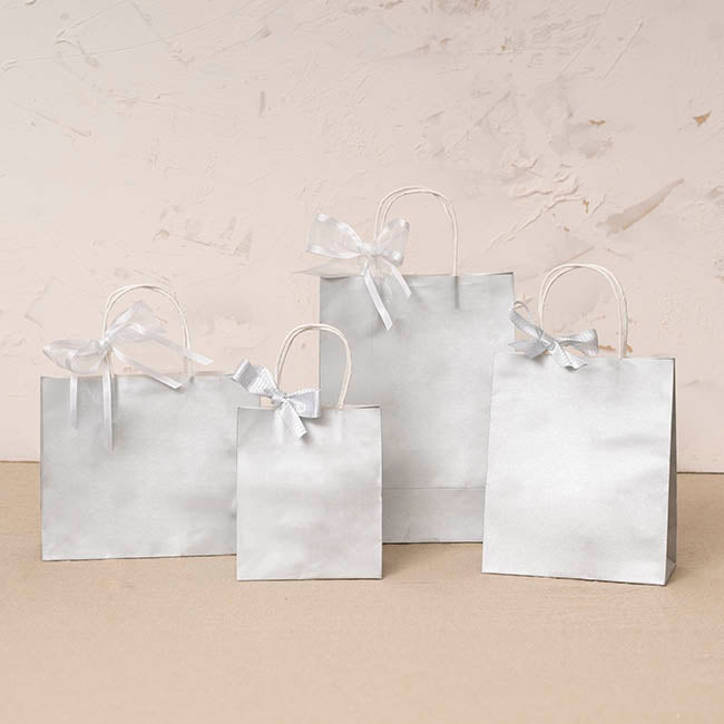 Kraft Paper Bag Shopper Small Silver Pk10 (180Wx85Gx215mmH)