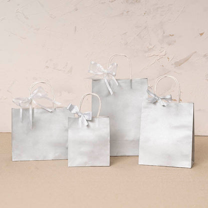 Kraft Paper Bag Shopper Small Silver Pk10 (180Wx85Gx215mmH)