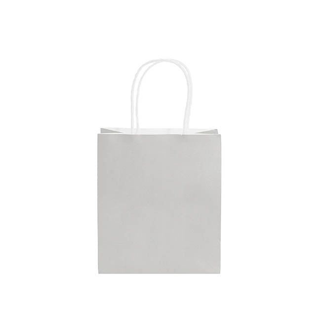 Kraft Paper Bag Shopper Small Silver Pk10 (180Wx85Gx215mmH)